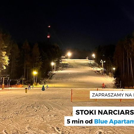Blue Apartment Kielce Dış mekan fotoğraf